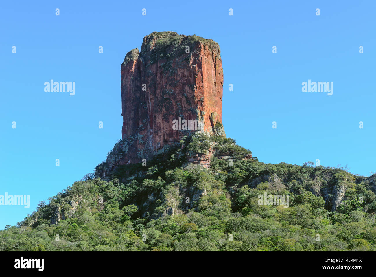 David Turm (Devil's Molar), Chochis, Bolivien Stockfoto