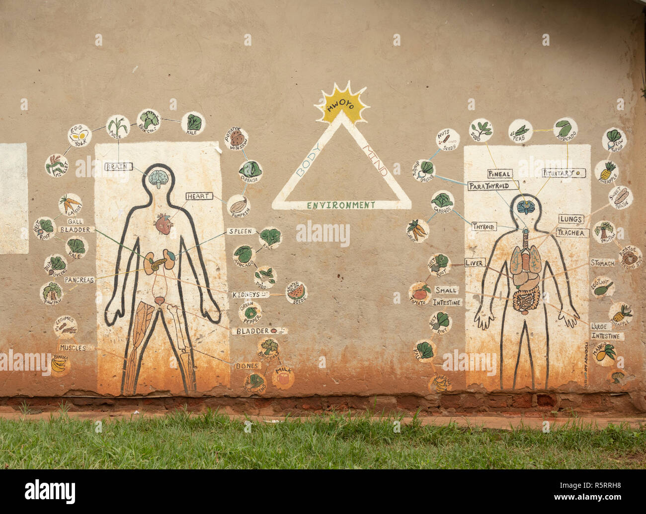 Zeichen für Körperteile in der Grundschule, Bigodi, Western Uganda, Afrika Stockfoto