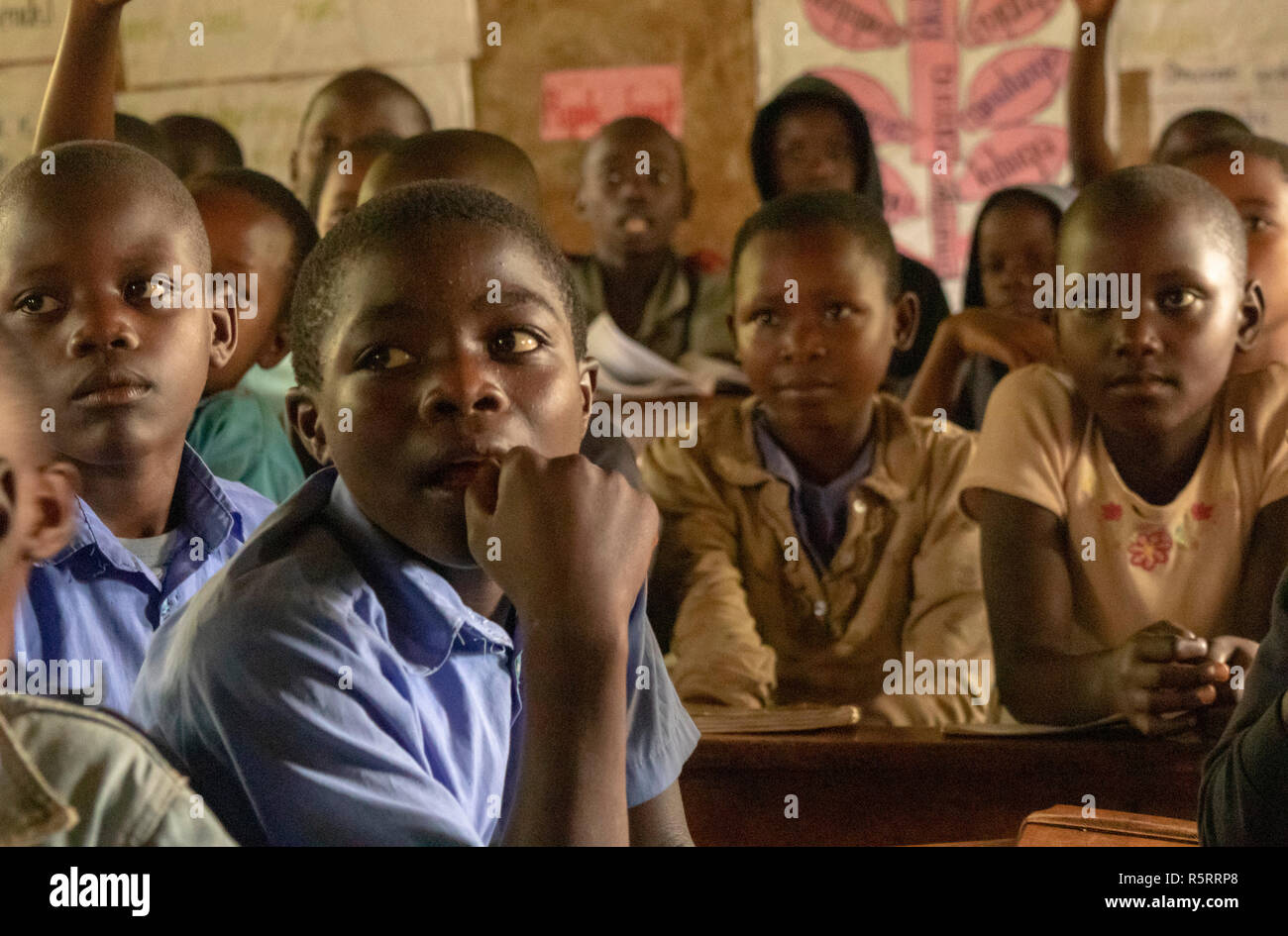 Schülerinnen und Schüler in der Grundschule, Bigodi, Western Uganda, Afrika Stockfoto