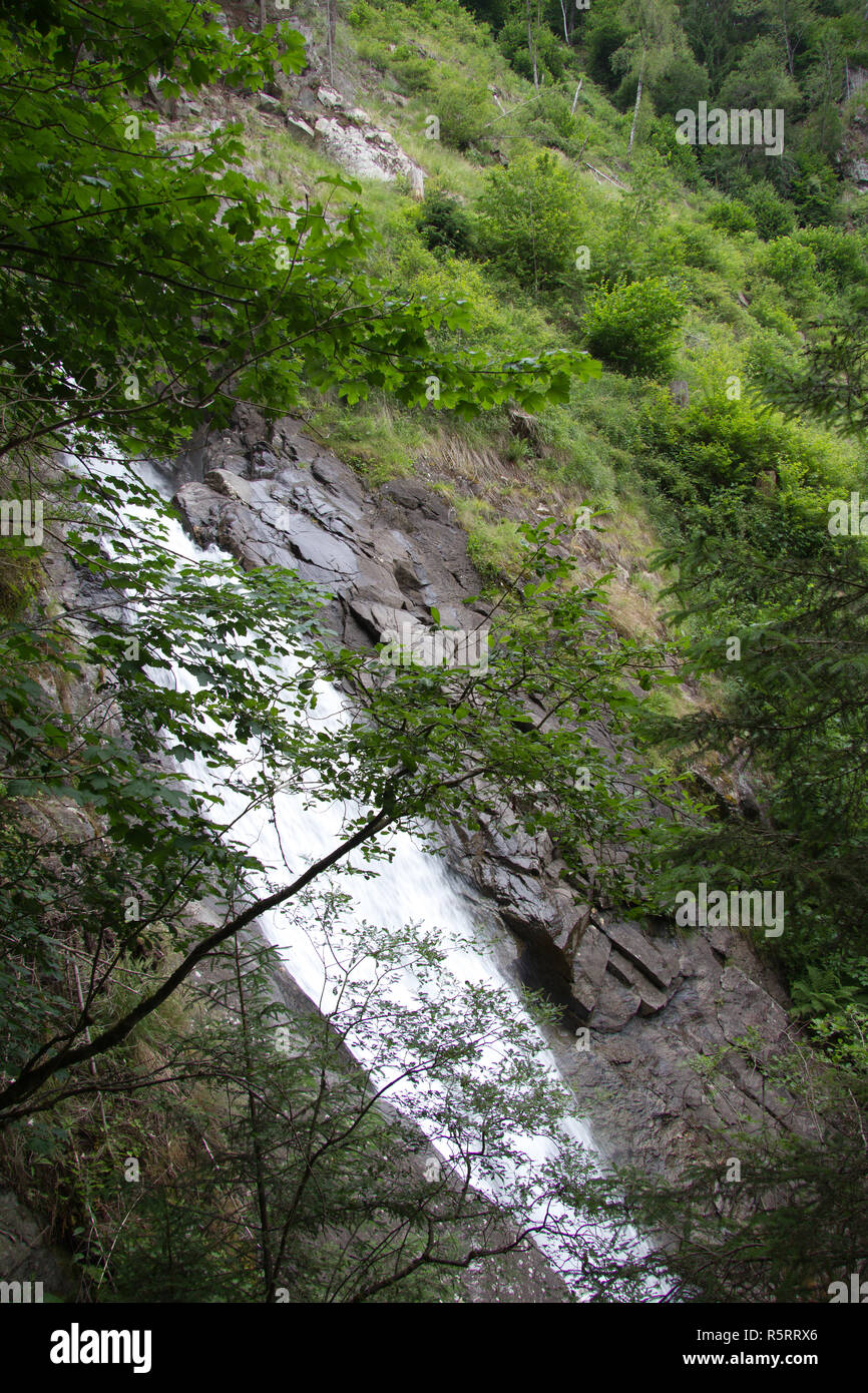 Wasserfall im Wald nach Branchen teilweise verdeckt in der Steiermark während des Tages Stockfoto