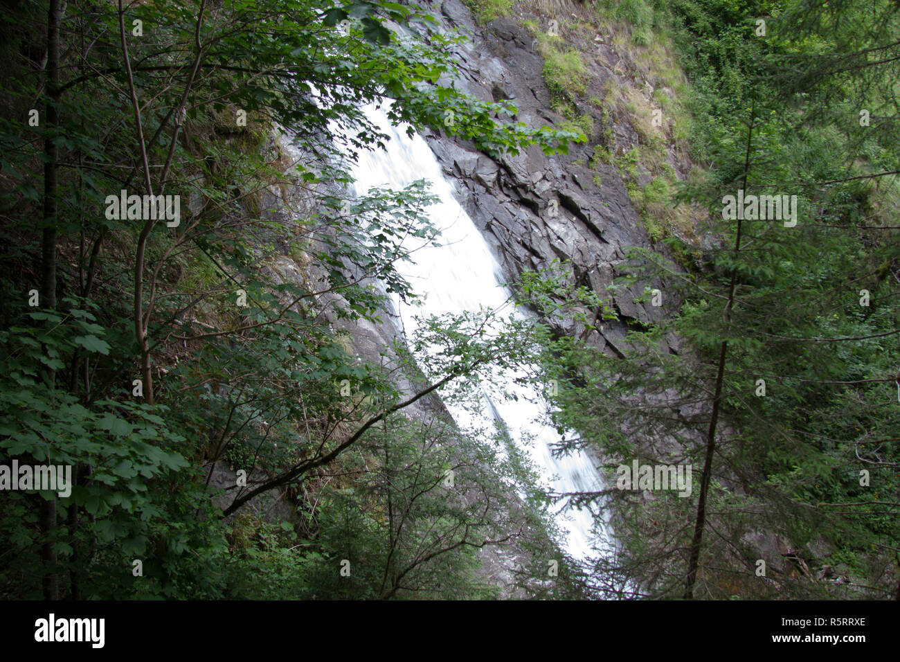 Wasserfall im Wald nach Branchen teilweise verdeckt in der Steiermark während des Tages Stockfoto