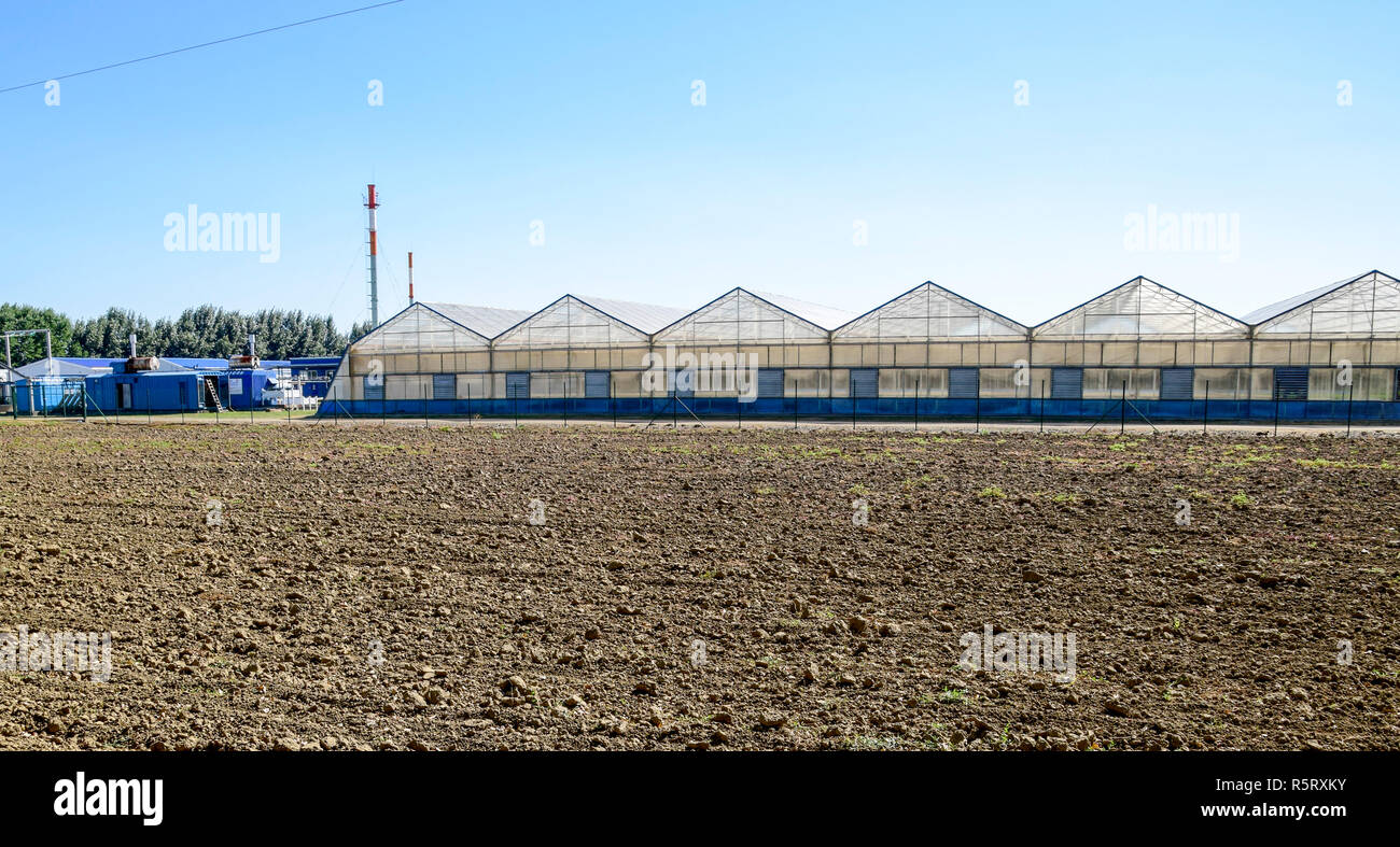 Polycarbonat Gewächshäuser. Gewächshaus komplex. Gewächshäuser für den Anbau von Gemüse unter der geschlossenen Boden Stockfoto