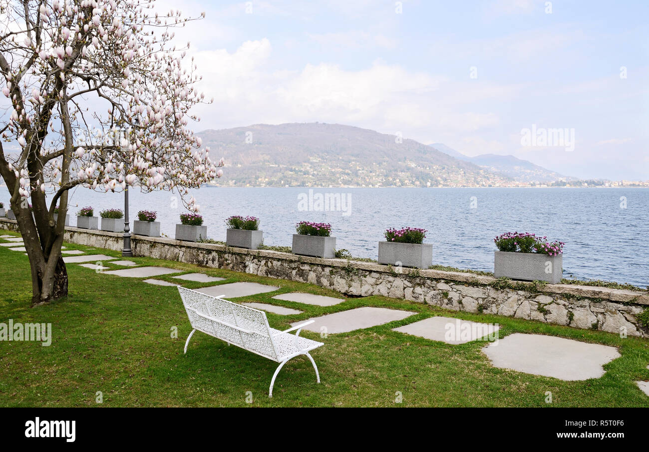 Eine leere Bank durch das Meer im Frühjahr Stockfoto