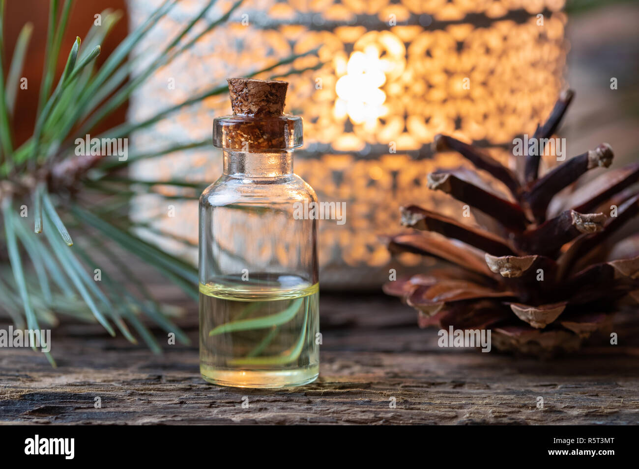Eine Flasche Öl mit pine Zweige und Zapfen im Hintergrund ...
