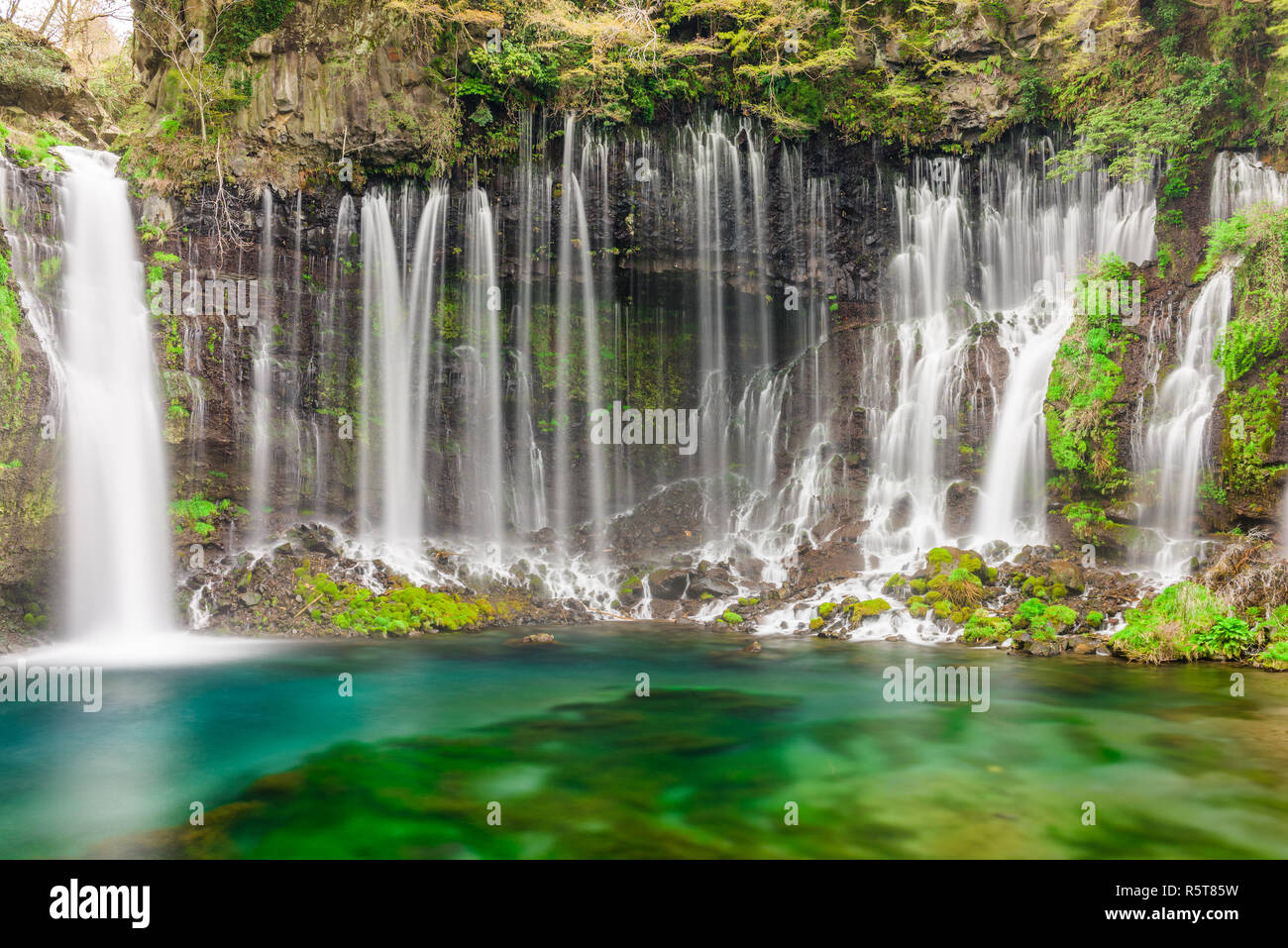 Shiraito fällt, Fujinomiya, Japan. Stockfoto