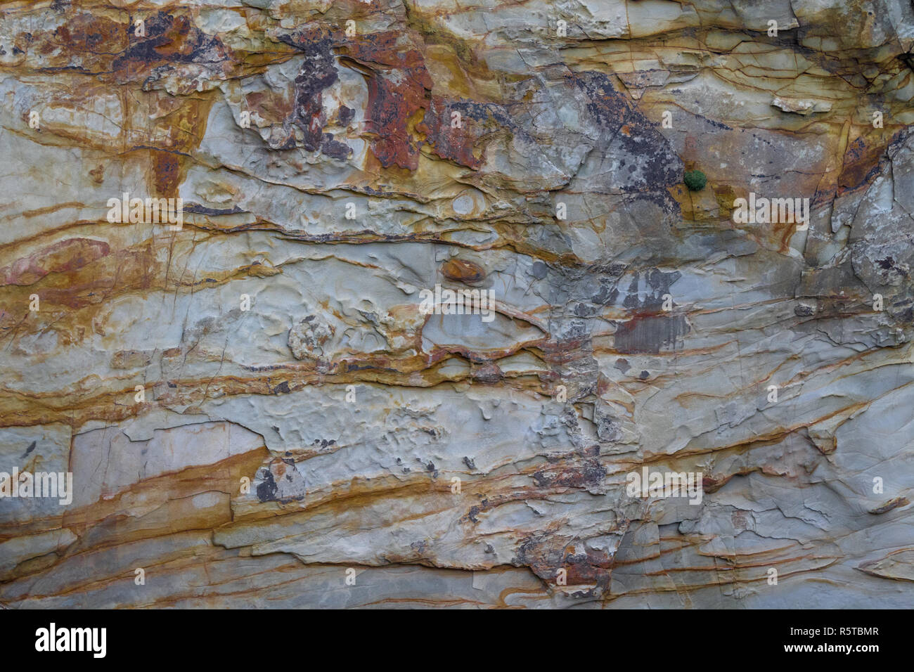 Eisenoxid oder mineral Färbung auf einer Klippe mudstone oder Schiefer, der südlichen Küste Irlands, sandige Bucht, castlehaven, West Cork, Irland. Stockfoto