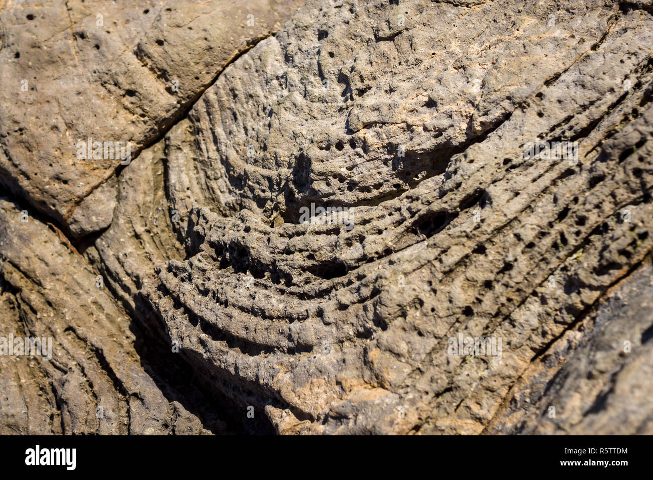 Sedimentgestein. Die Struktur der natürlichen Stein. Hintergrund. Stockfoto