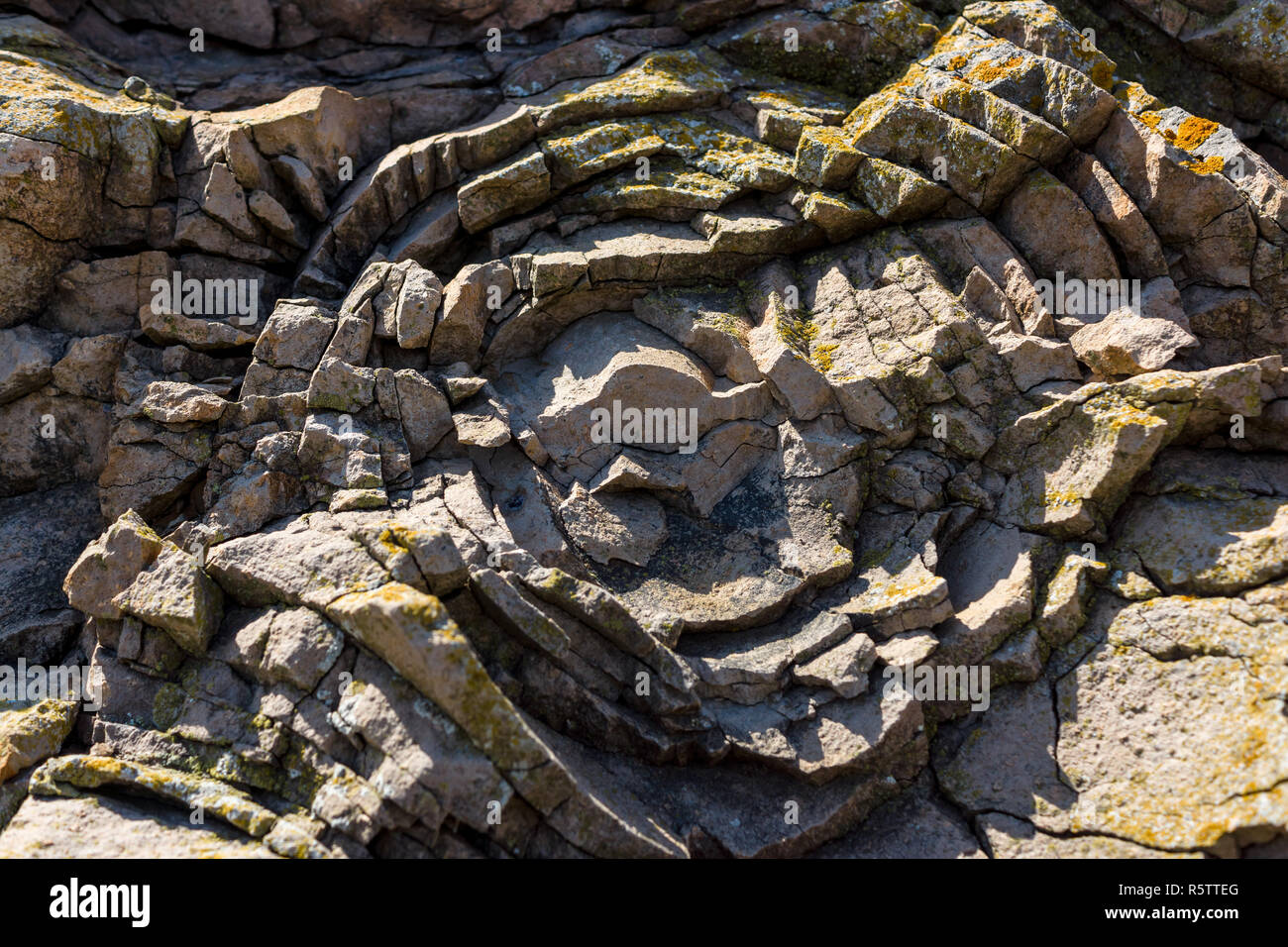 Sedimentgestein. Die Struktur der natürlichen Stein. Hintergrund. Stockfoto