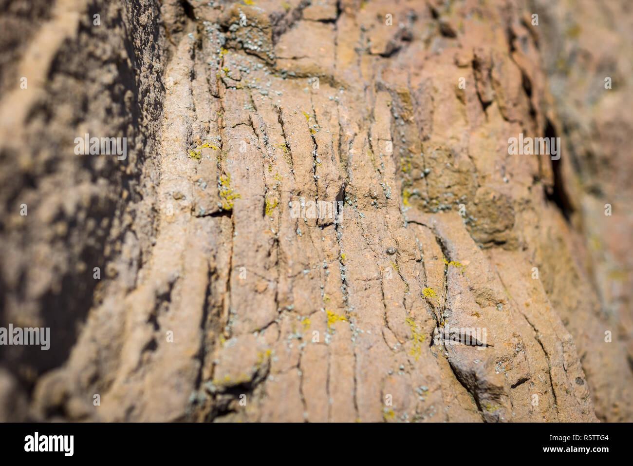 Sedimentgestein. Die Struktur der natürlichen Stein. Hintergrund. Geringe Tiefenschärfe. Konzentrieren Sie sich auf das Zentrum. Stockfoto
