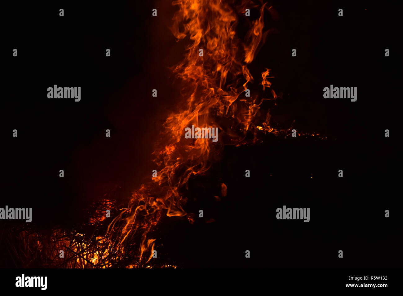 Verbrennung von Stroh von Reis in der Nacht. Red Fire auf einem schwarzen Hintergrund. Die Verbrennung. Stockfoto