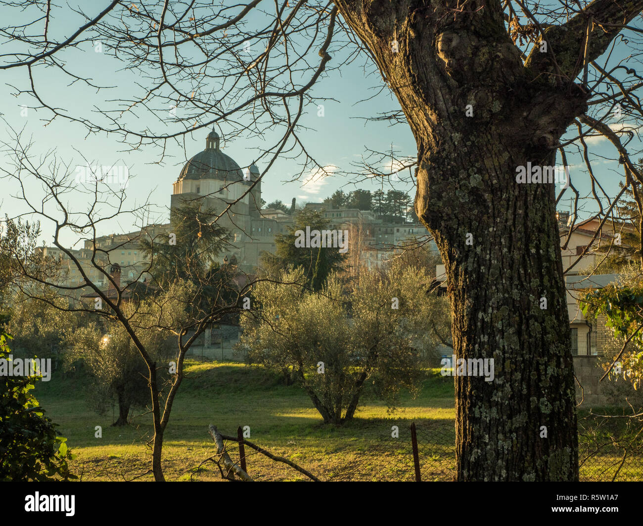 Die Stadt Montefiascone mit der Basilika von Santa Margherita, in der Provinz Viterbo, Region Latium, Italien. Stockfoto