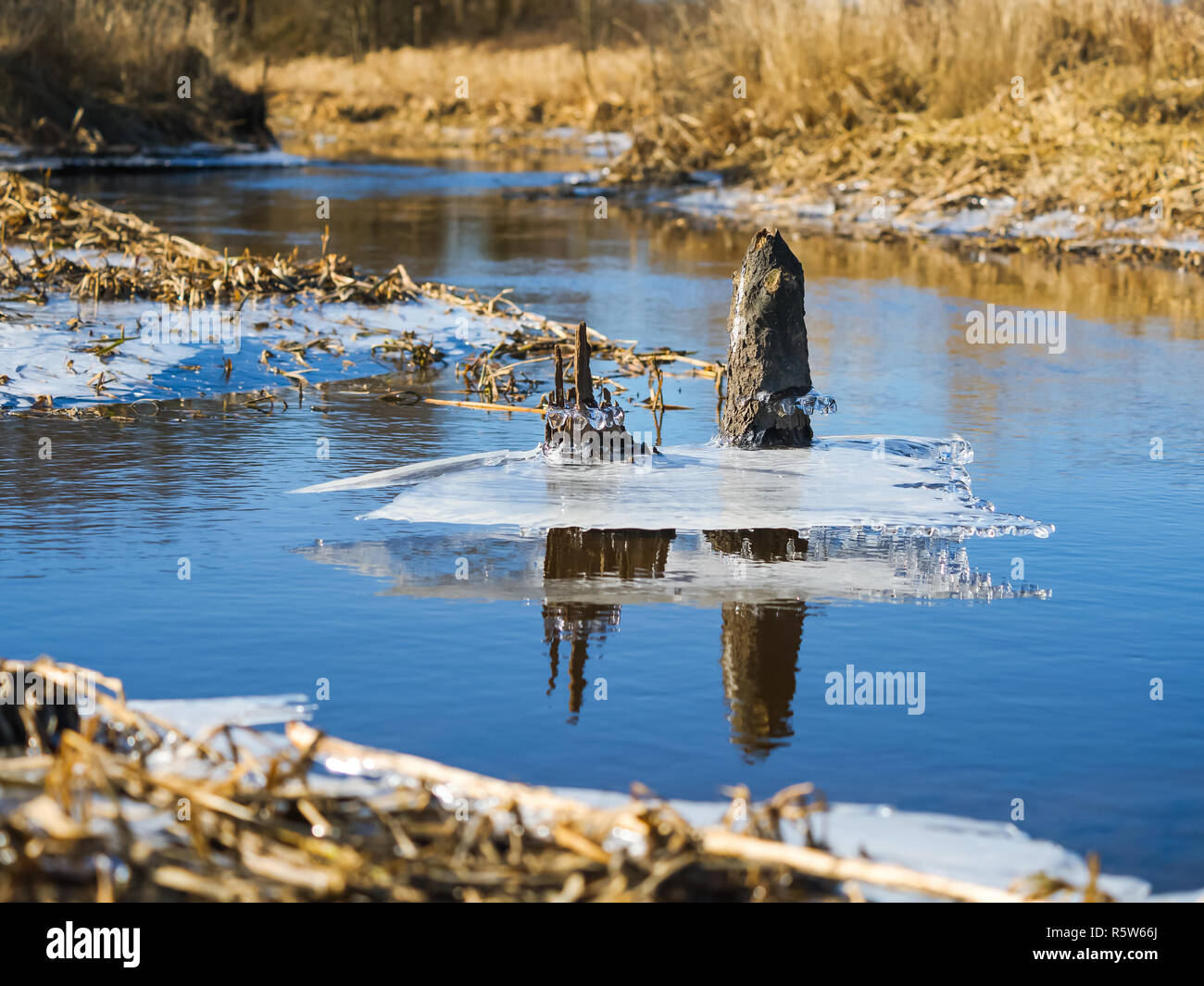 Eis des Flusses geschmolzen, der Teich ist vom Eis freigegeben Stockfoto