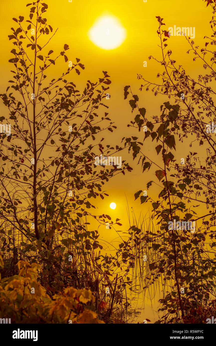 Schönen Morgen Szene Landschaft. See in den frühen nebeliger Morgen. Goldenen Sonnenaufgang über dem See mit Spiegelbild im Wasser Stockfoto