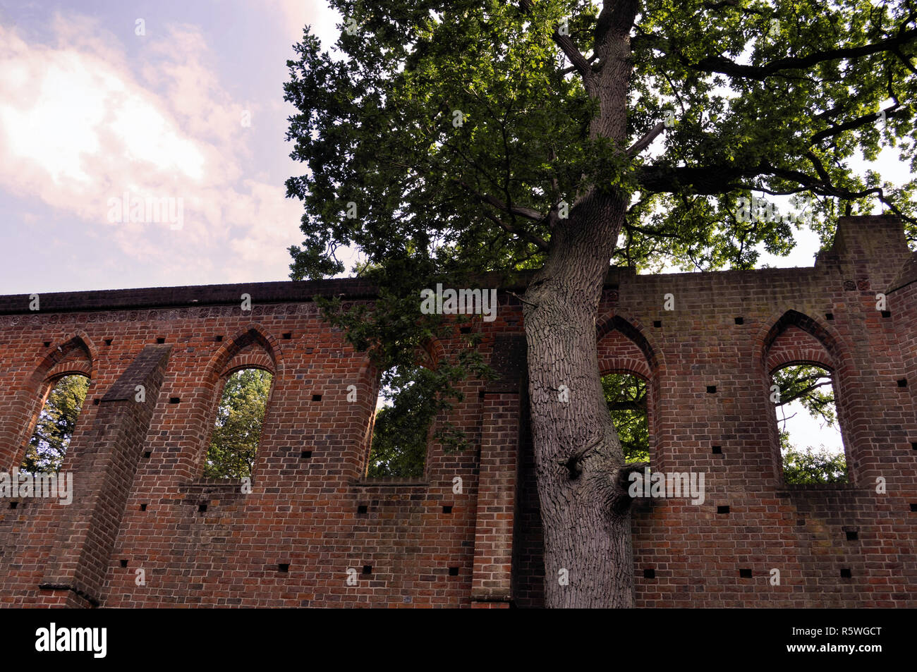 Gotische Klosterruine in boitzenburg, Mecklenburg Vorpommern Stockfoto