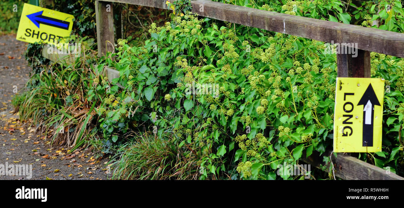 Wegweiser für Wettbewerber, die sich an ein Rennen aus einer kurzen Route und einem langen Strecke. Stockfoto