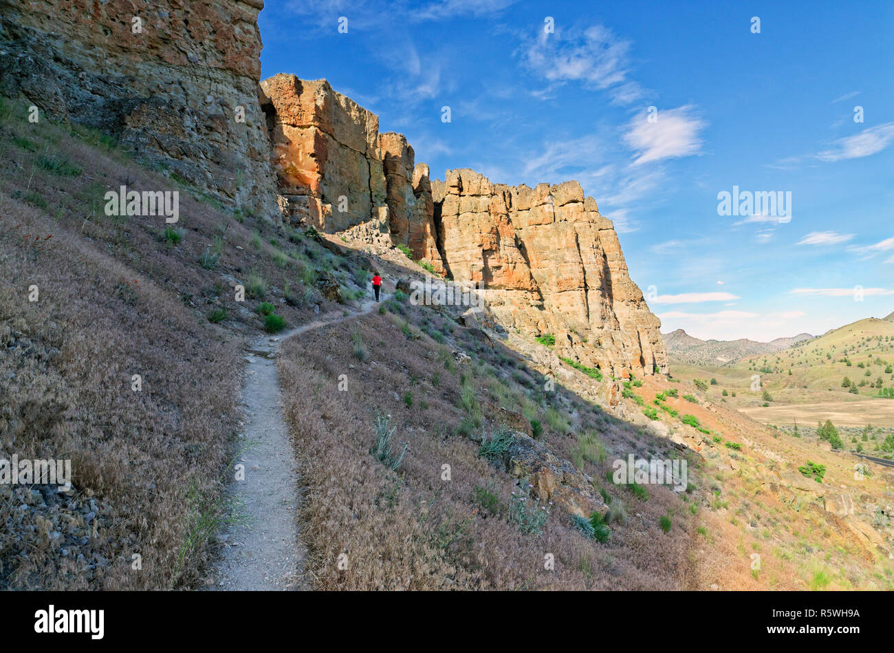 42,888.03233 Frau wandern unter steilen Felswänden auf trockenen trockenen Wüste Hang, in Clarno Abschnitt von John Day Fossil Beds National Monument, Oregon USA Stockfoto