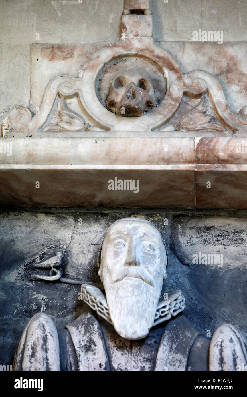 Vogel steht auf einer schlange -Fotos und -Bildmaterial in hoher ...