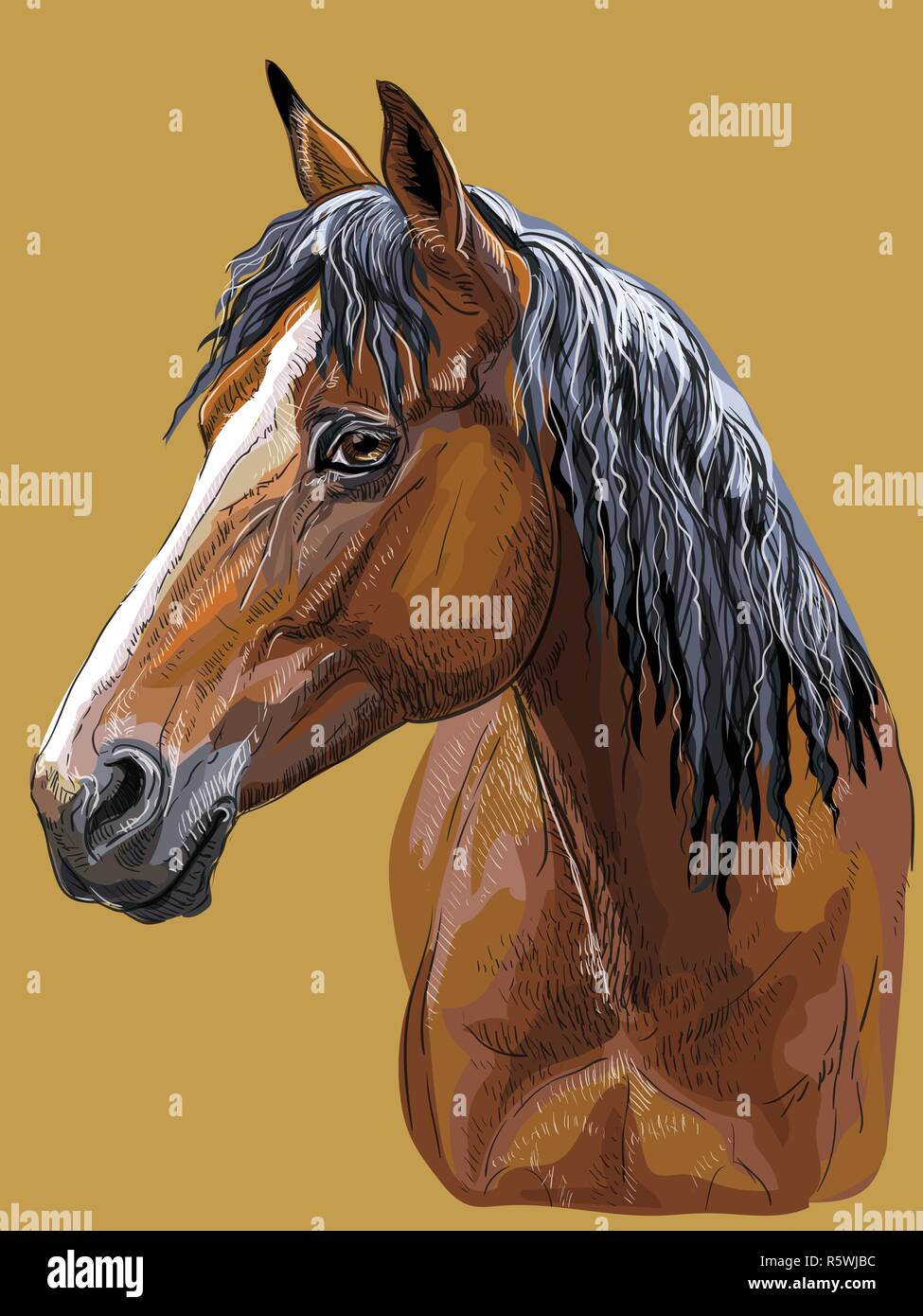 Bunte hand Zeichnung Portrait von Bay Horse. Pferdekopf im Profil isoliert Vektor hand Zeichnung Abbildung auf Senf Hintergrund Stock Vektor