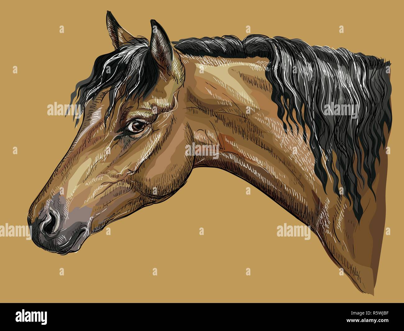 Bunte hand Zeichnung Portrait von Bay Welsh Pony. Pferd Kopf mit langer Mähne im Profil isoliert Vektor hand Zeichnung Abbildung auf beigen Hintergrund Stock Vektor