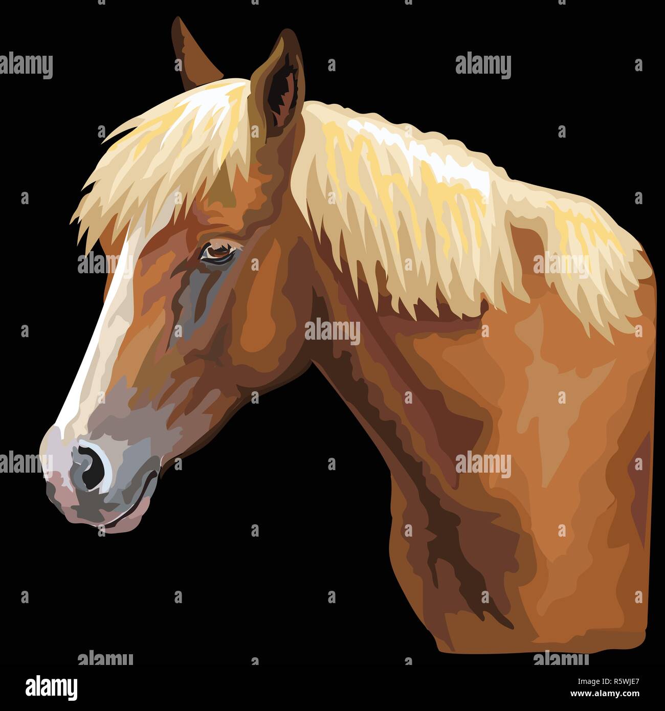 Bunte Porträt des Pferdes. Pferdekopf im Profil isoliert Vektor hand Zeichnung Abbildung auf schwarzem Hintergrund Stock Vektor