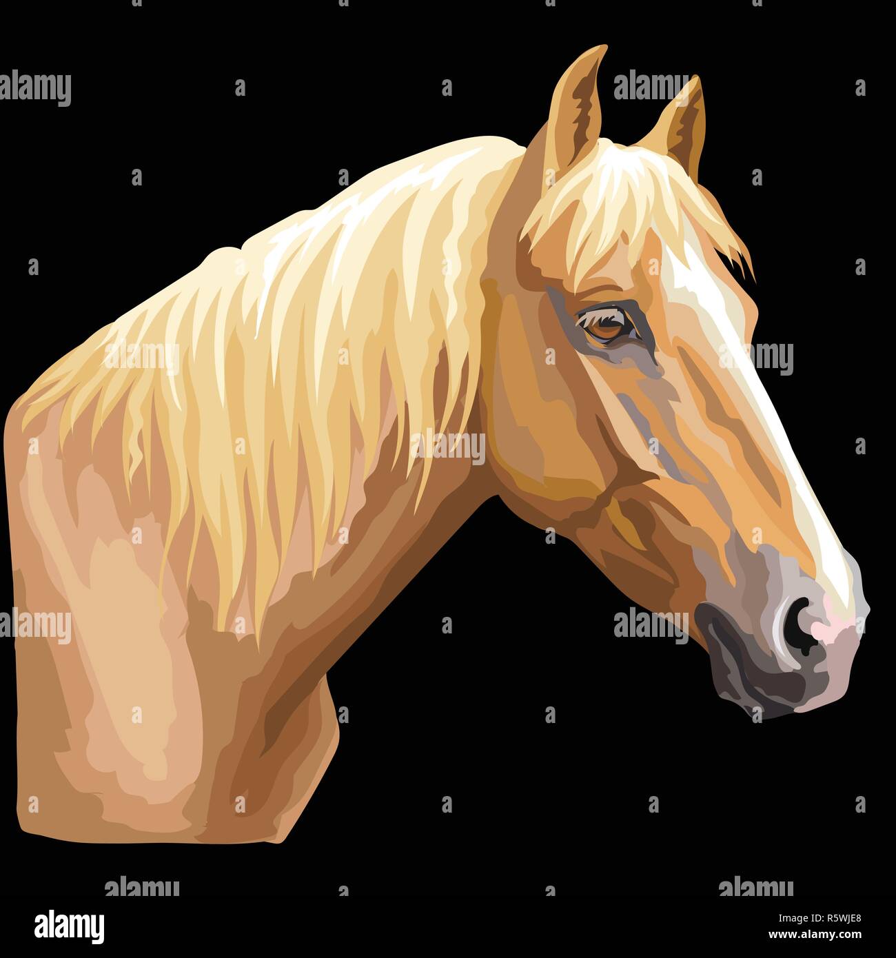 Bunte Portrait von Palomino Horse. Pferdekopf im Profil isoliert Vektor hand Zeichnung Abbildung auf schwarzem Hintergrund Stock Vektor