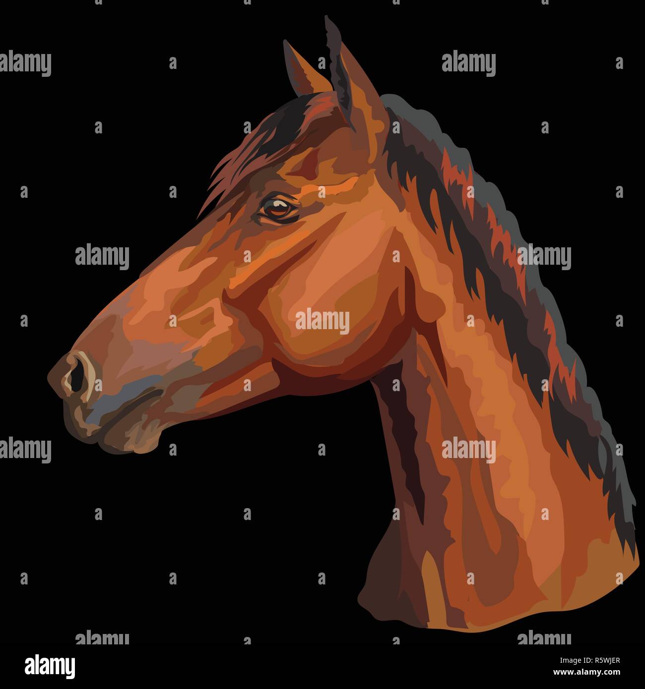 Bunte Portrait von Bay Horse. Pferdekopf im Profil isoliert Vektor hand Zeichnung Abbildung auf schwarzem Hintergrund Stock Vektor