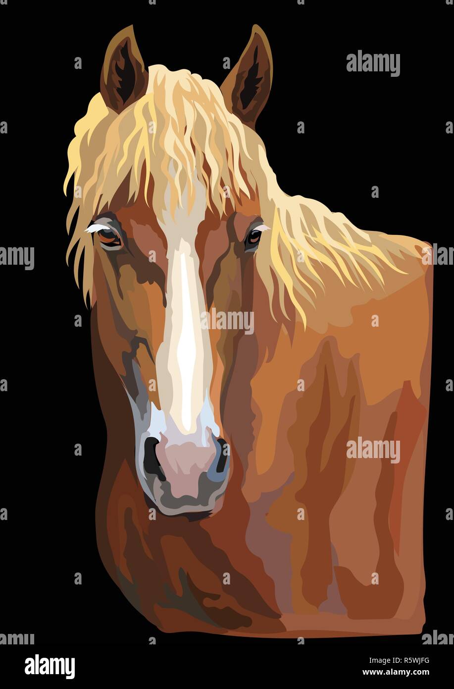 Bunte Porträt des Pferdes. Pferd Kopf isoliert Vektor hand Zeichnung Abbildung auf schwarzem Hintergrund Stock Vektor