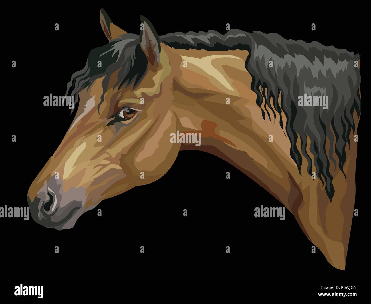 Bunte Portrait von Bay Welsh Pony. Pferd Kopf mit langer Mähne im Profil isoliert Vektor hand Zeichnung Abbildung auf schwarzem Hintergrund Stock Vektor