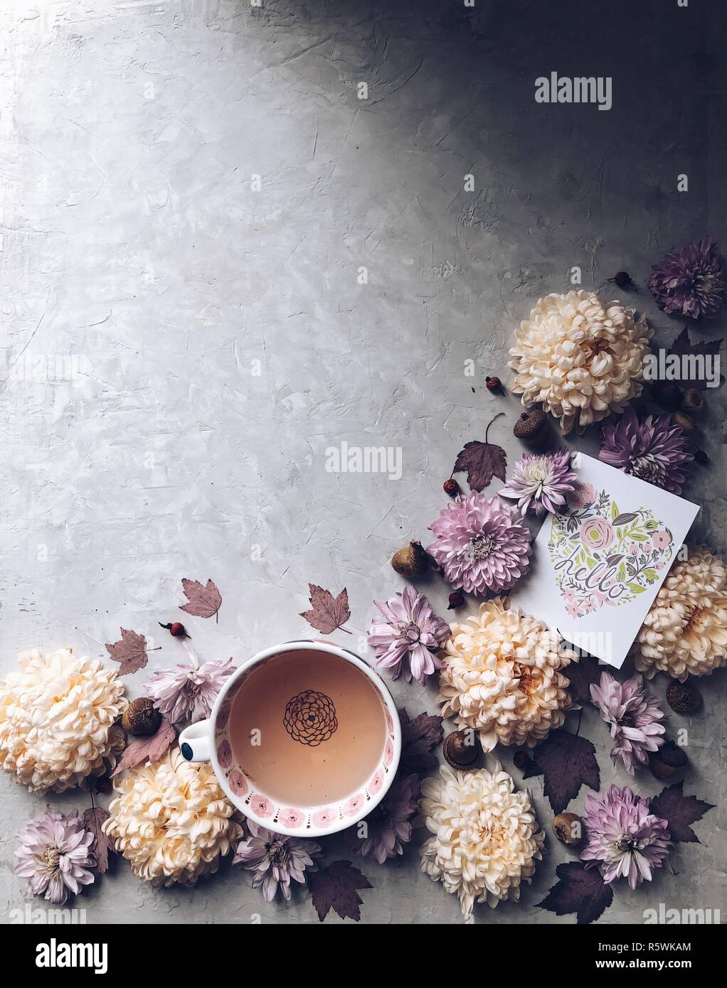 Chrysantheme Blumen und eine Tasse Kräutertee und hallo Karte Stockfoto