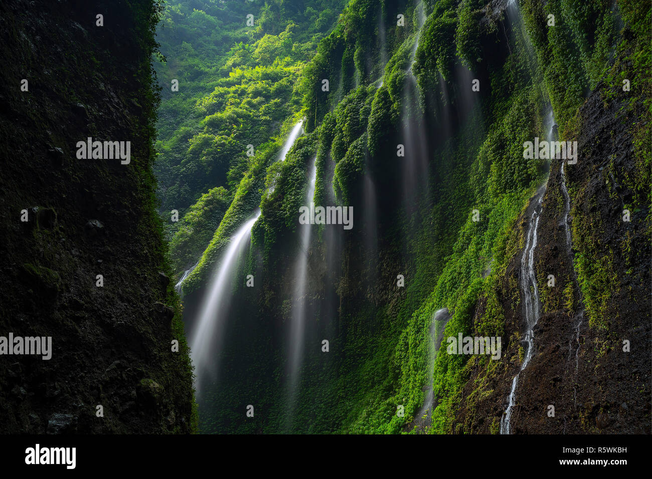 Madakaripura Wasserfall, Ost-Java, Indonesien Stockfoto