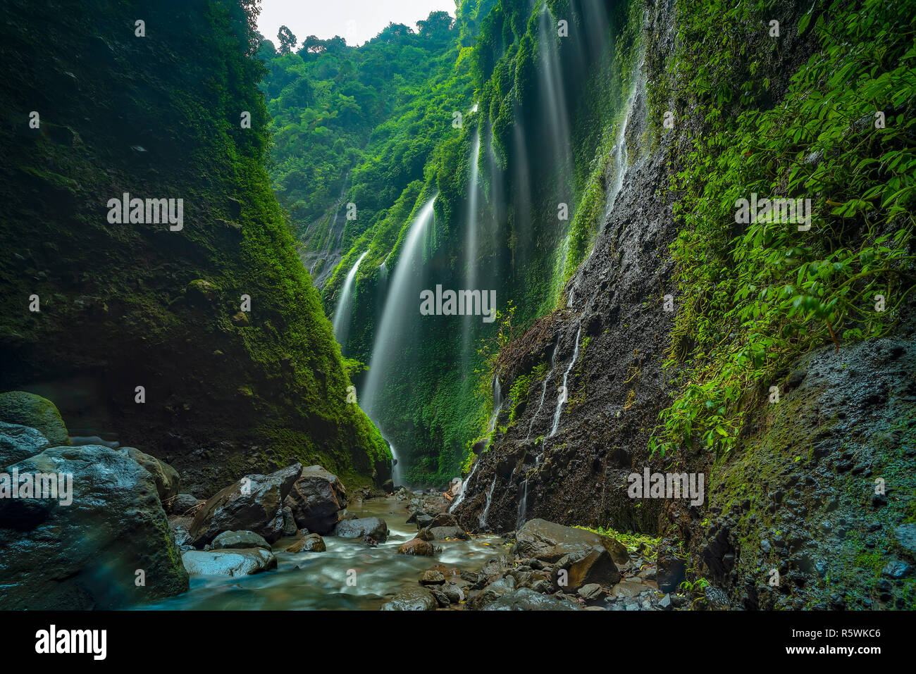 Madakaripura Wasserfall, Ost-Java, Indonesien Stockfoto