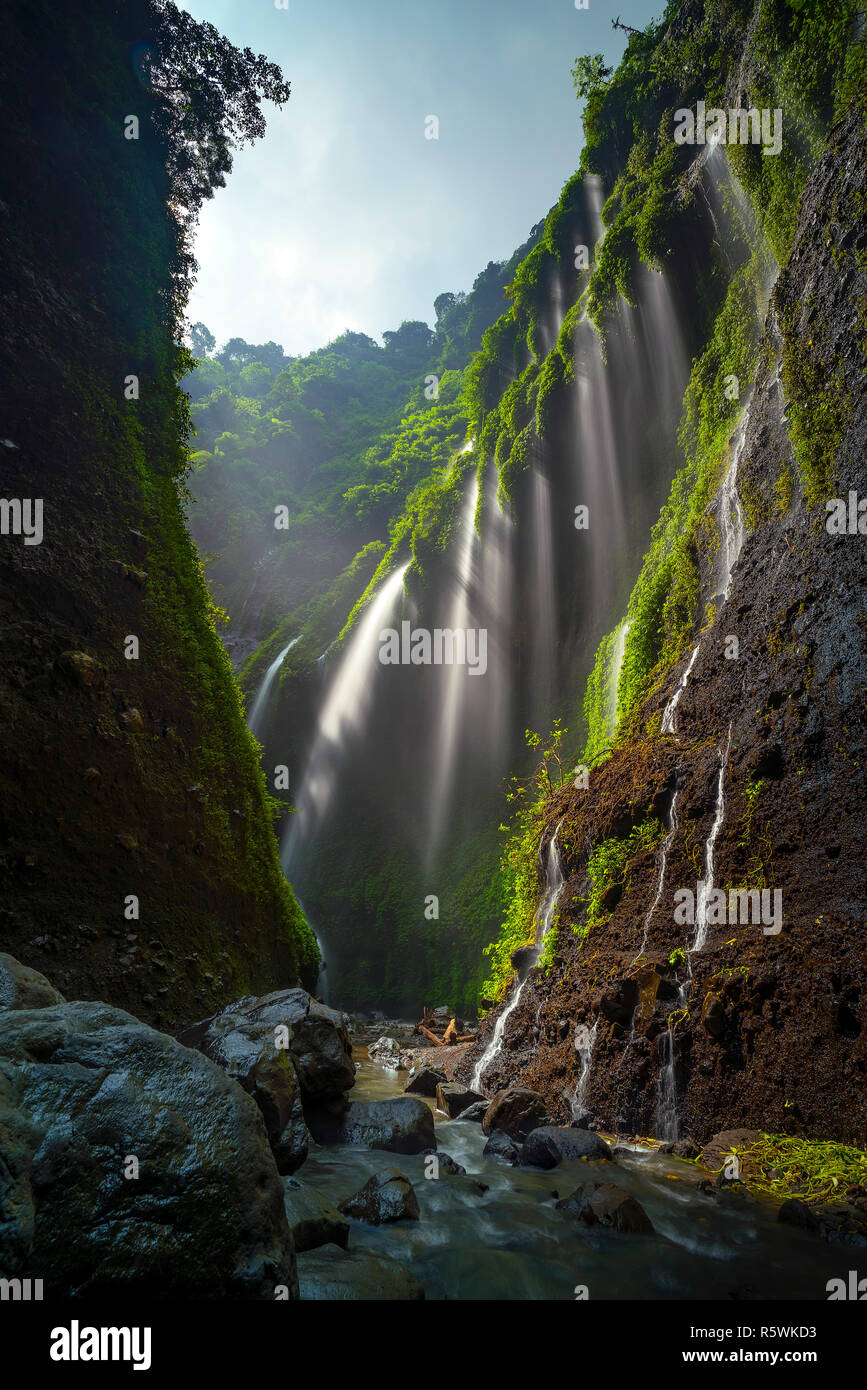 Madakaripura Wasserfall, Ost-Java, Indonesien Stockfoto
