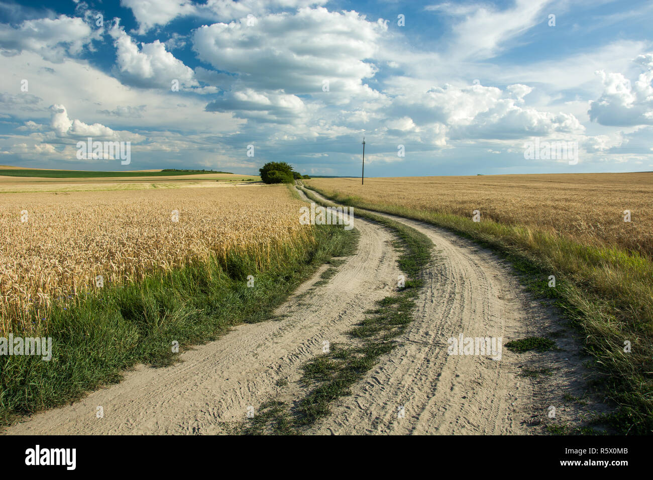 Unbefestigte Straße durch Felder mit Getreide Stockfoto