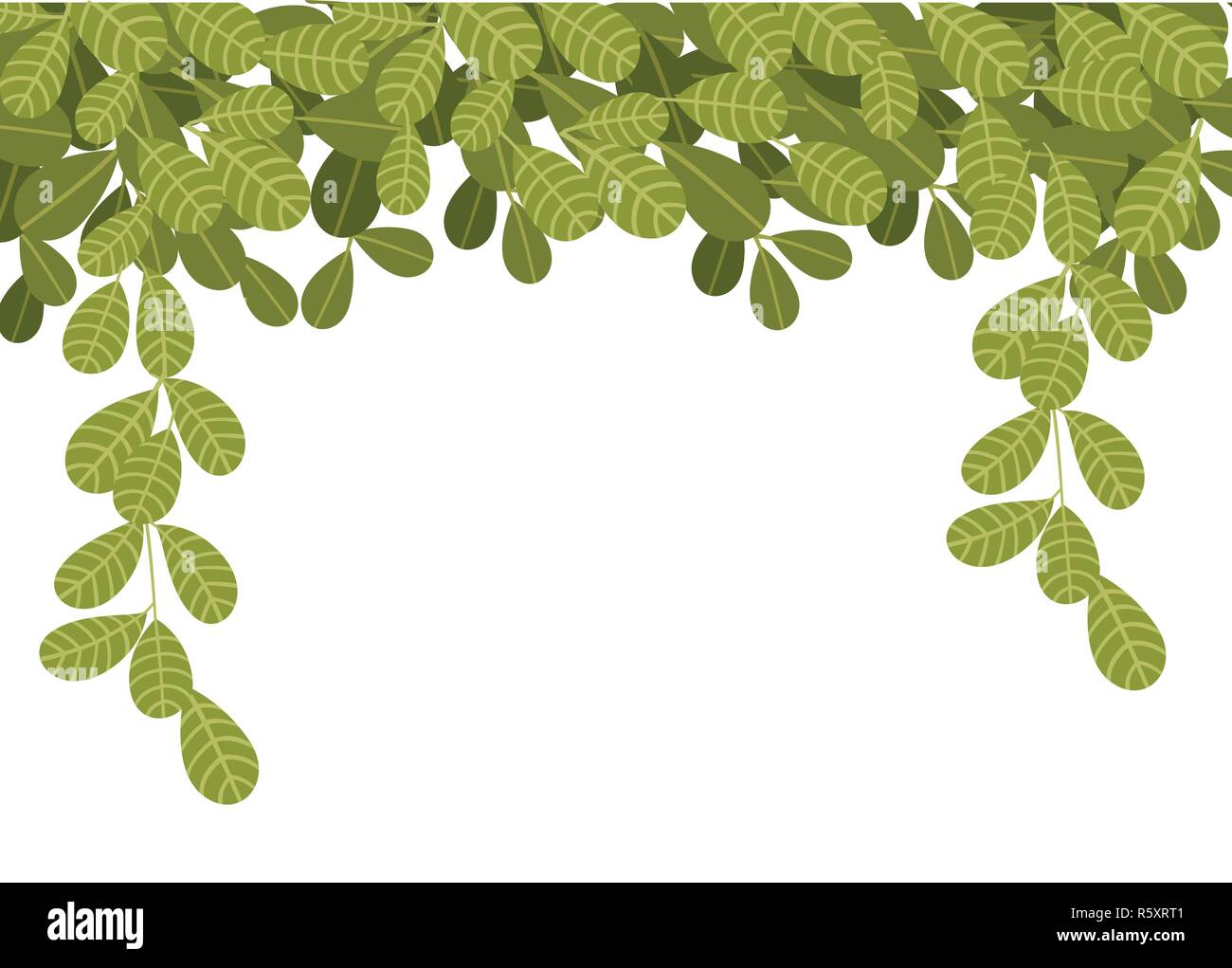 Hängenden Kletterpflanzen mit grünen Blättern. Flachen Blättern nach unten hängen. Floralen Muster. Vector Illustration auf weißem Hintergrund. Stock Vektor