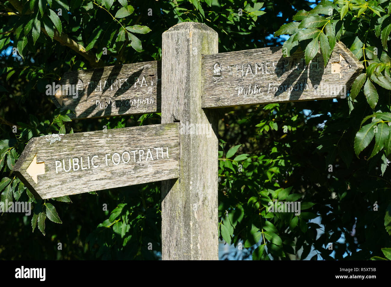 Holz- Thames Path Wegweiser, Berkshire, England Vereinigtes Königreich Großbritannien Stockfoto