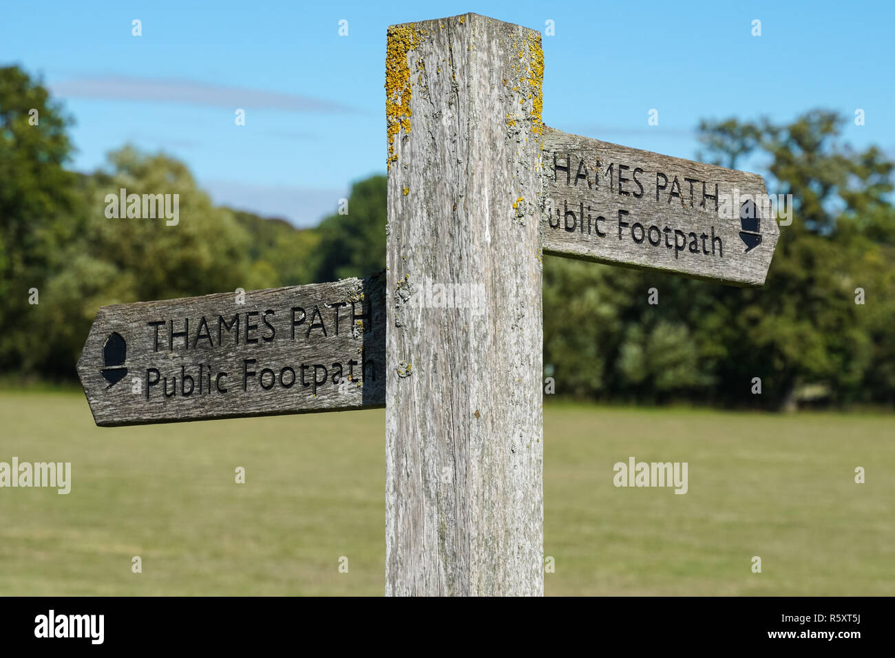 Holz- Thames Path Wegweiser, Berkshire, England Vereinigtes Königreich Großbritannien Stockfoto