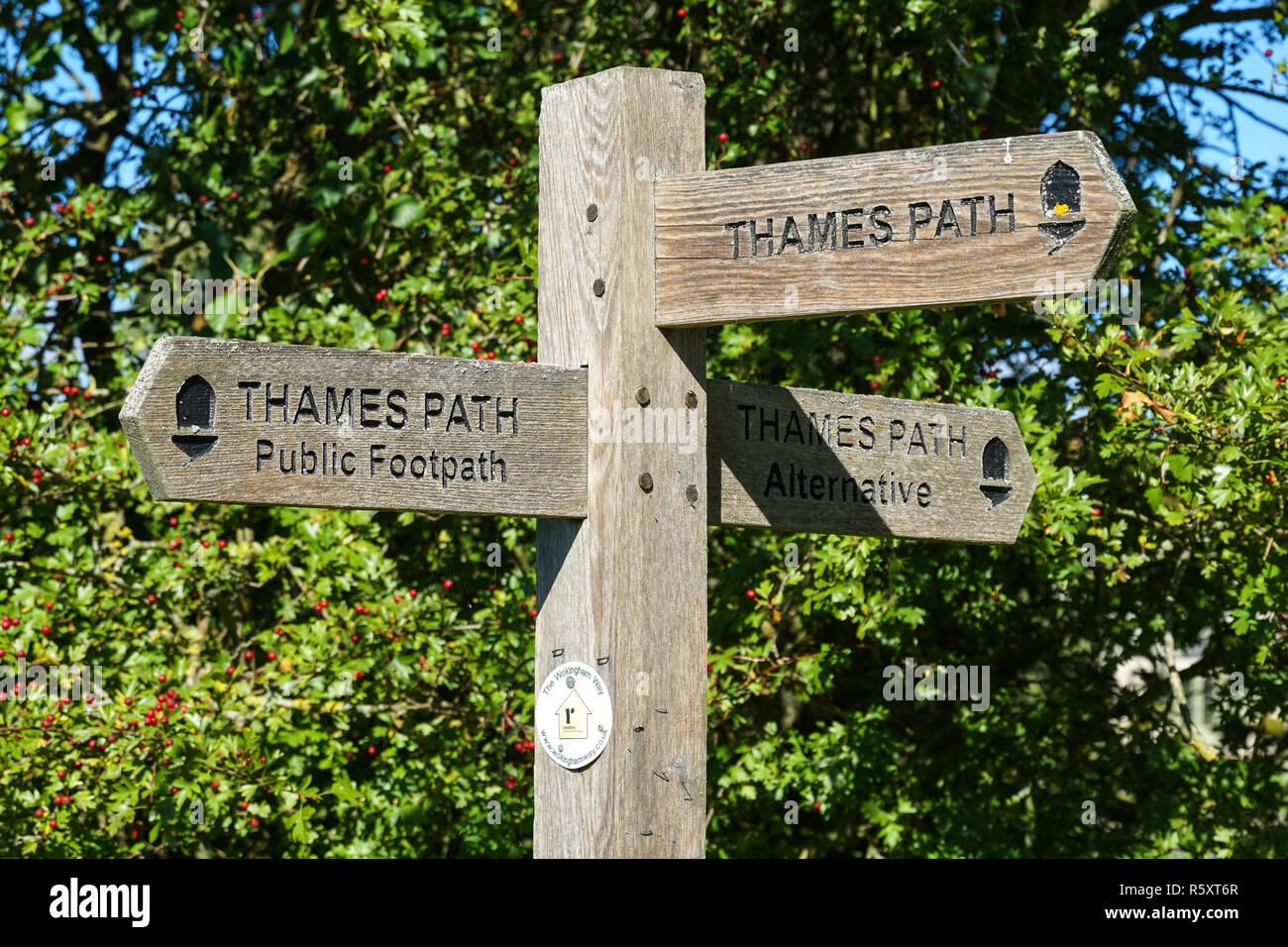 Holz- Thames Path Wegweiser, Berkshire, England Vereinigtes Königreich Großbritannien Stockfoto