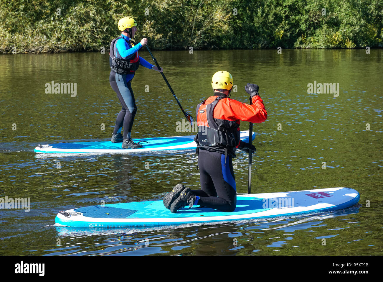 Menschen paddleboarding auf der Themse in der Nähe von Medmenham, Buckinghamshire, England Vereinigtes Königreich Großbritannien Stockfoto