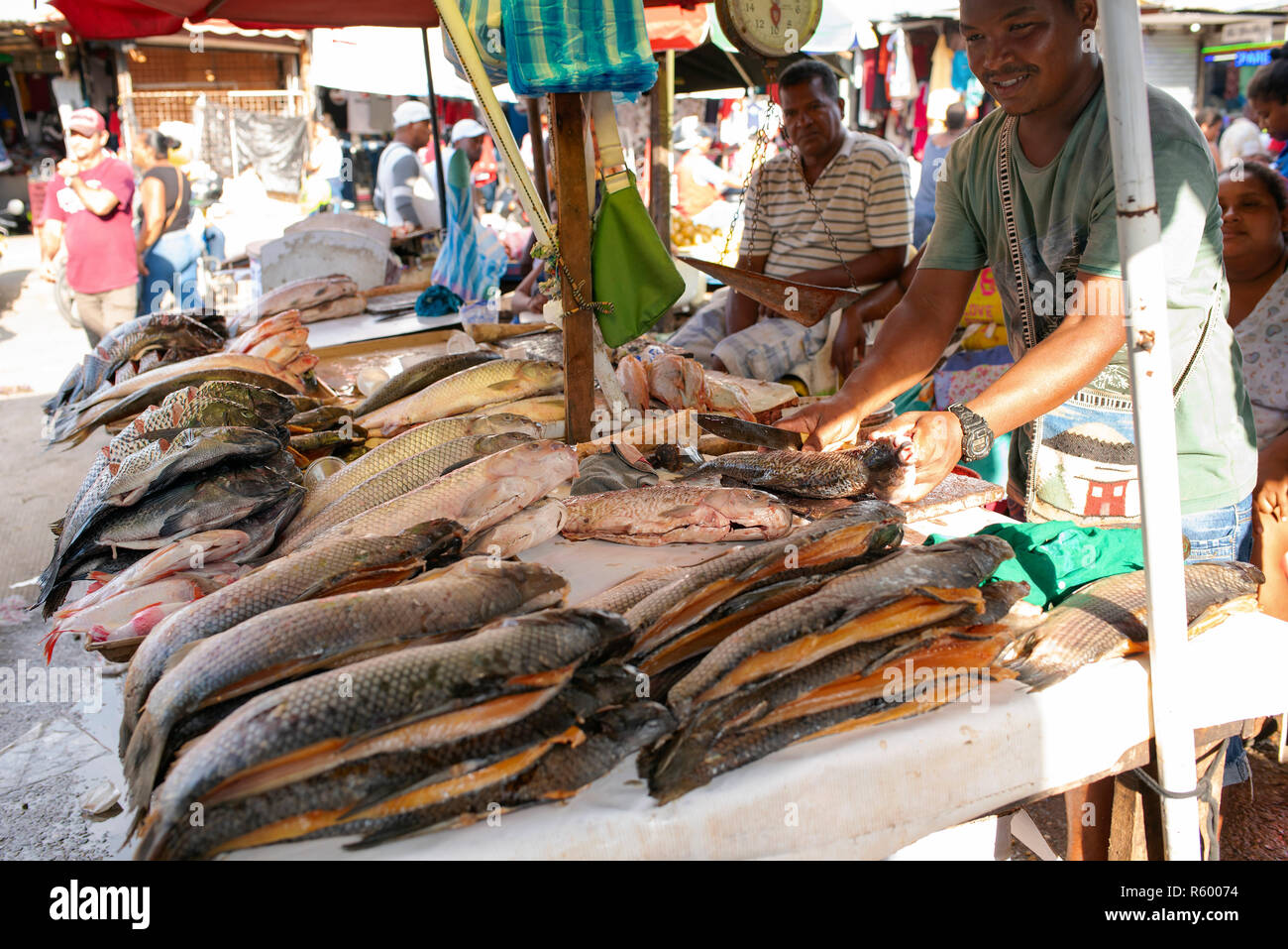 Latino Mann ausnehmen frischen Fisch zum Verkauf auf Bazurto Markt (Mercado Bazurto). Umwelt portrait. Cartagena de Indias, Kolumbien. Okt 2018 Stockfoto