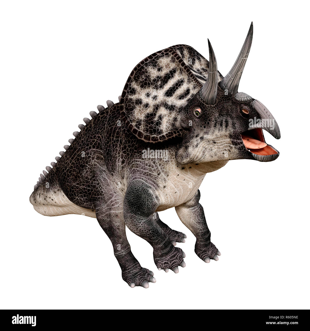 3D-Rendering Dinosaurier Zuniceratops auf Weiß Stockfoto