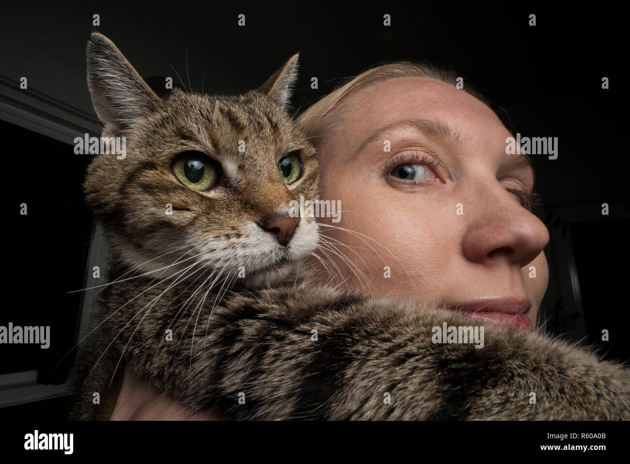 Ein Patient Katze stellt mit seinem Besitzer Obsession mit es als Eigentümer hält und drückt es. Die Katze schaut genervt. Stockfoto