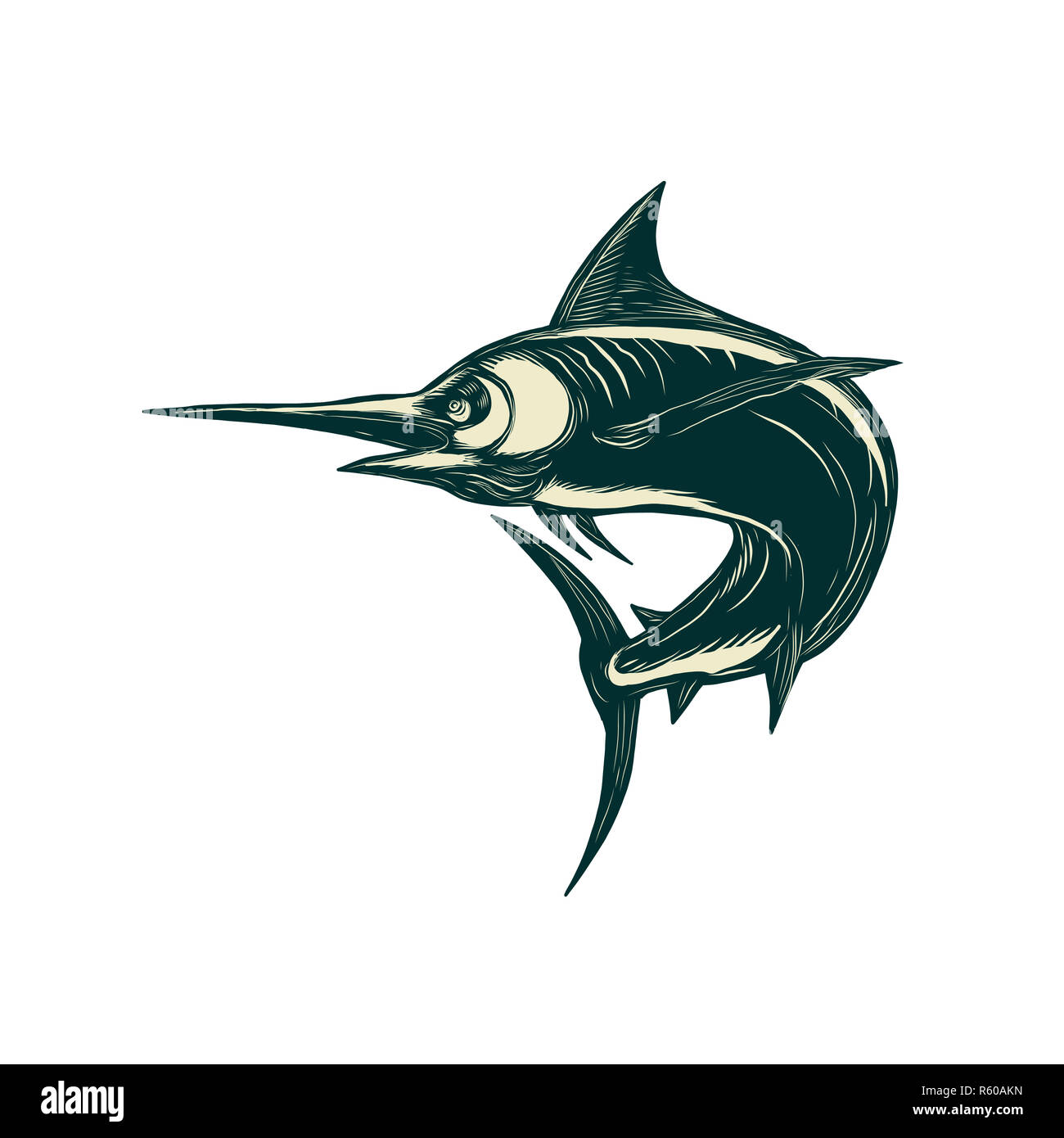 Blauer Marlin Scraperboard Stockfoto