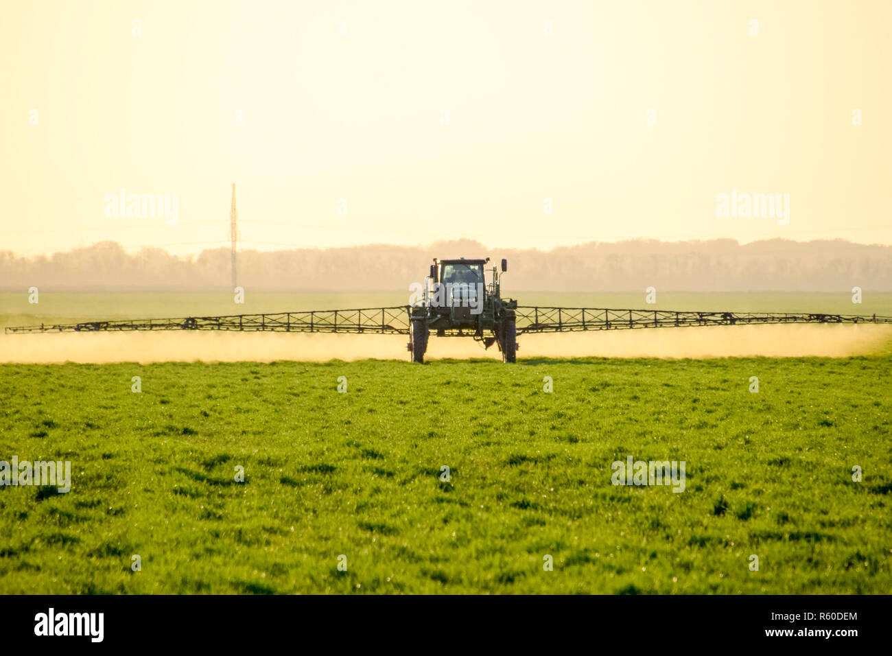 Traktor auf den Sonnenuntergang im Hintergrund. Traktor mit hohen Rädern ist das Machen von Dünger auf jungen Weizen. Die Verwendung von fein verteilten Sprühnebel Chemikalien Stockfoto