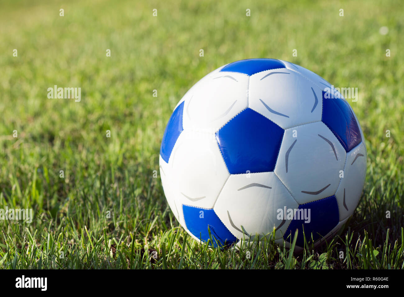 Fußball-Ball im Gras Stockfoto