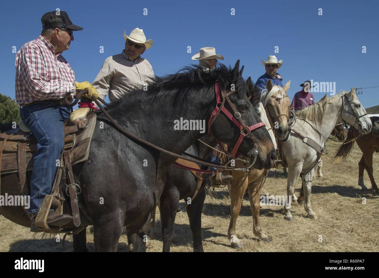 De Anza und Portola Mitfahrer zu sozialisieren, während für den Start eines 25-Mile trail Ride feiert das 75-jährige Jubiläum der Camp Pendleton, 29. April 2017 warten. Stockfoto
