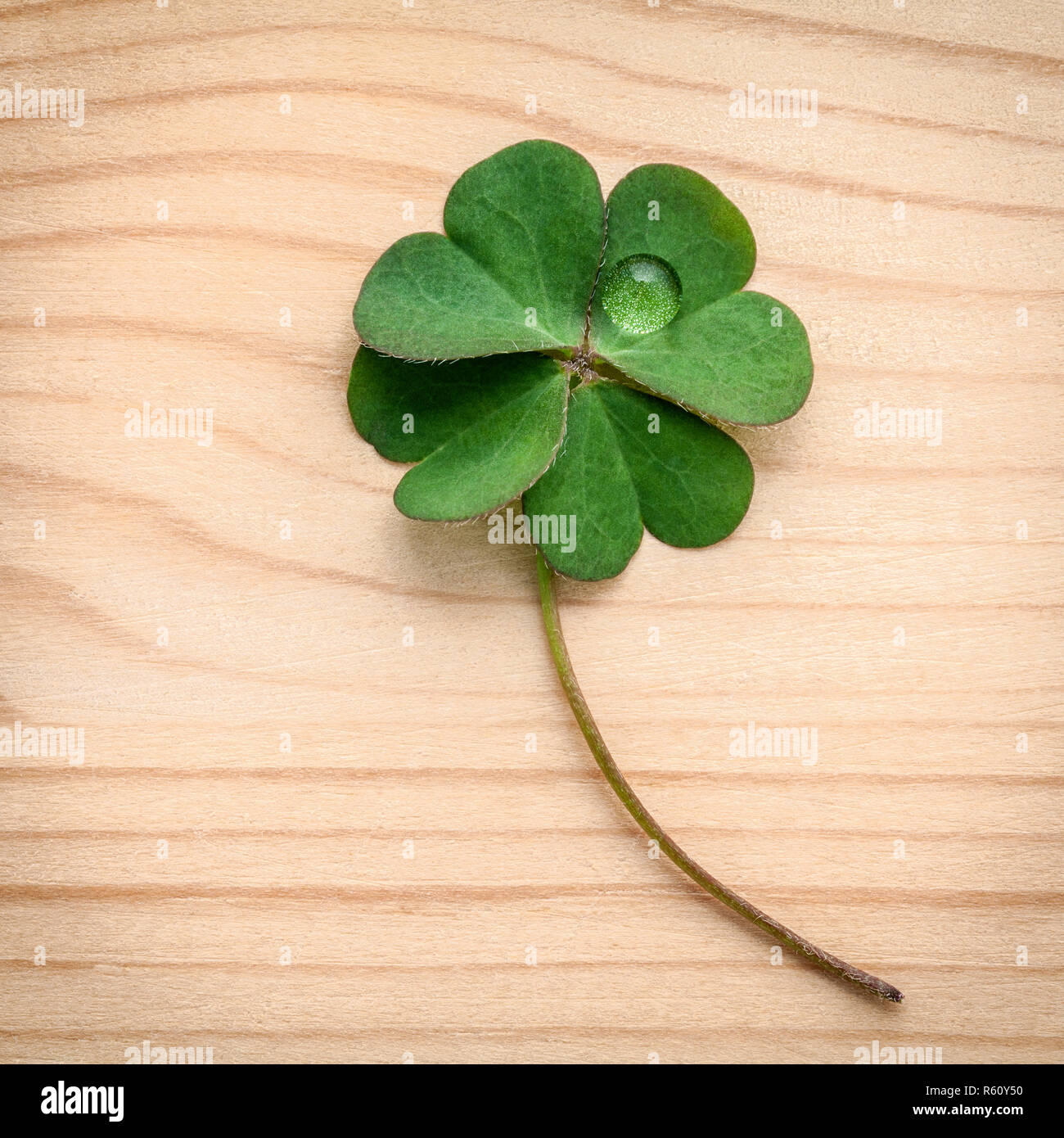 Vater sohn und der heilige geist Fotos und Bildmaterial in hoher Auflösung Alamy