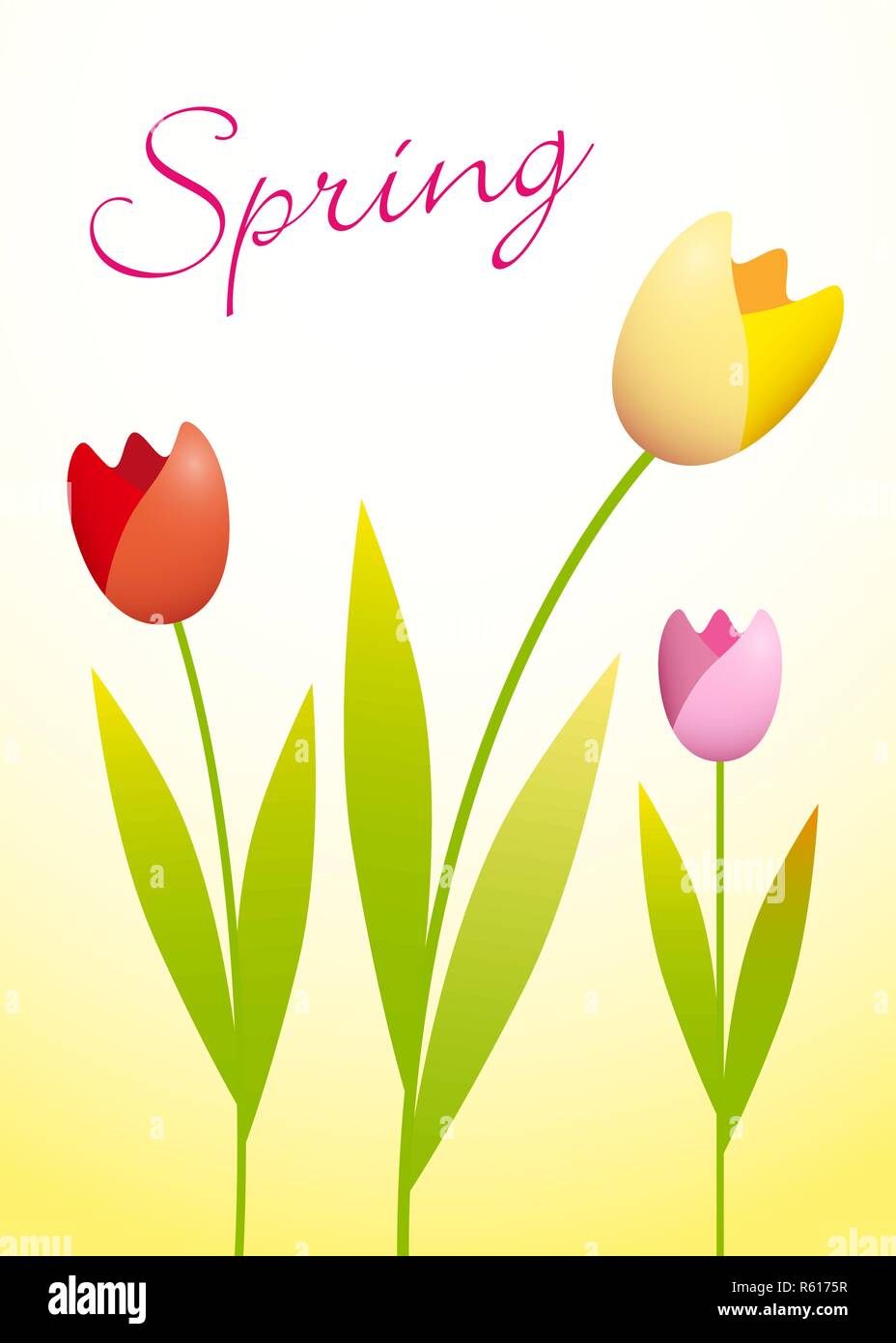 Drei bunte Tulpen auf Frühling Hintergrund Stock Vektor