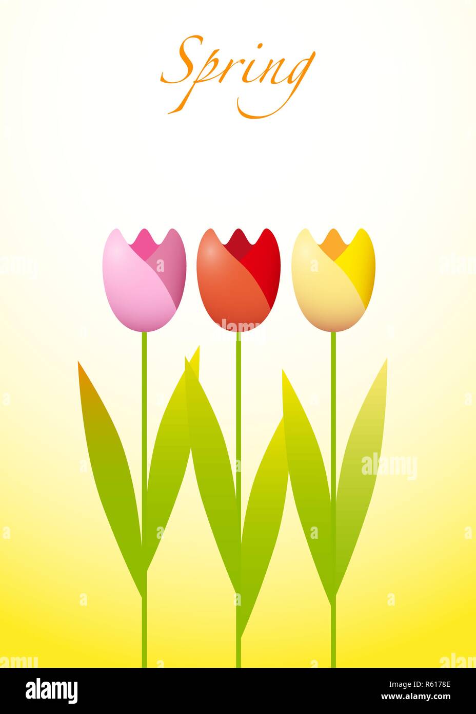 Drei bunte Tulpen auf Frühling Hintergrund Stock Vektor