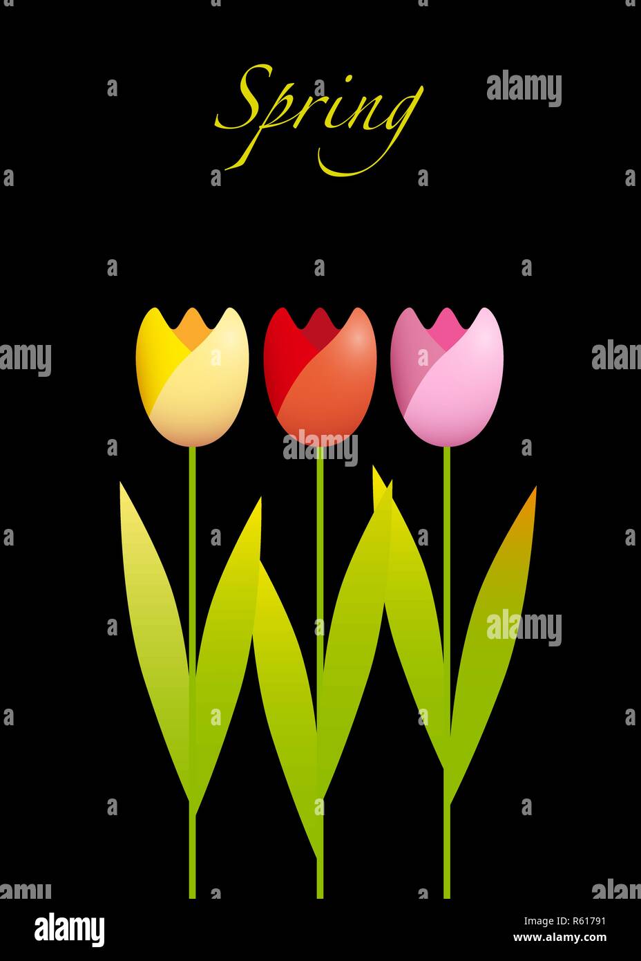 Drei bunte Tulpen auf schwarzem Hintergrund Stock Vektor