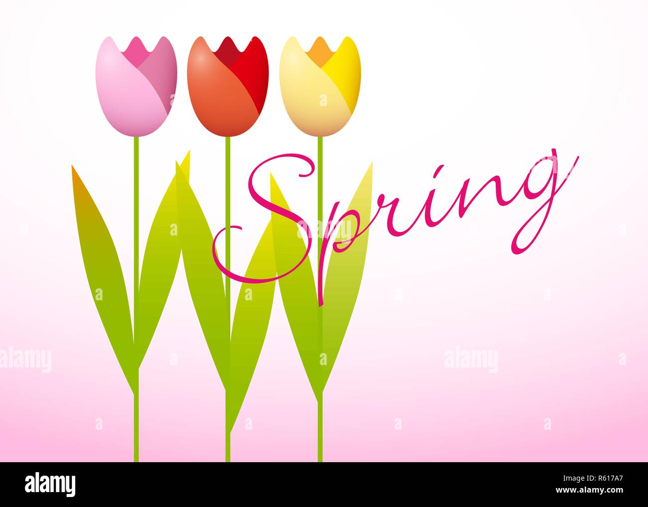 Drei bunte Tulpen auf Frühling Hintergrund Stock Vektor